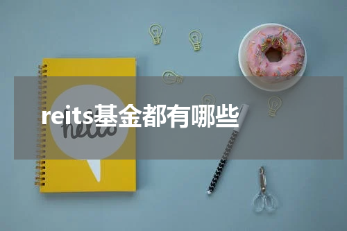 reits基金都有哪些