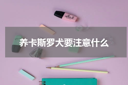 养卡斯罗犬要注意什么