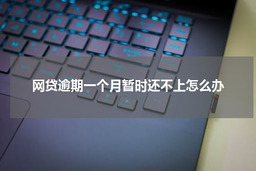网贷逾期一个月暂时还不上怎么办
