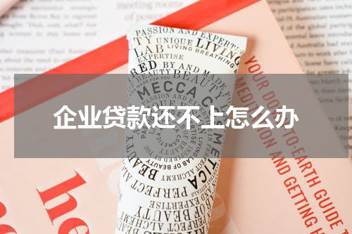 企业贷款还不上怎么办