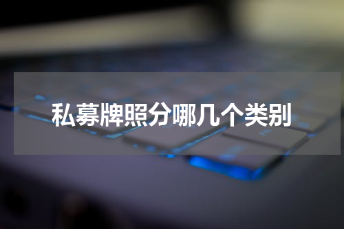 私募牌照分哪几个类别
