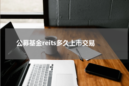 公募基金reits多久上市交易