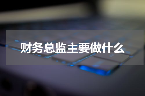 财务总监主要做什么