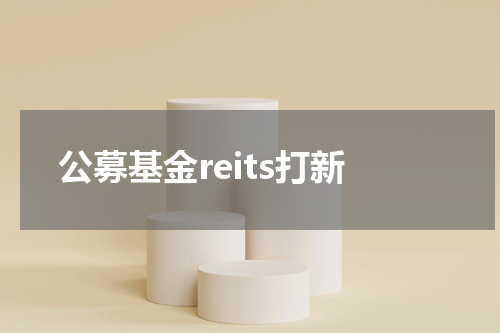 公募基金reits打新