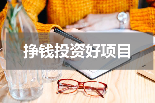 挣钱投资好项目