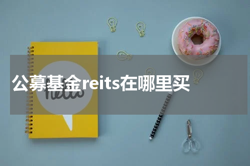 公募基金reits在哪里买