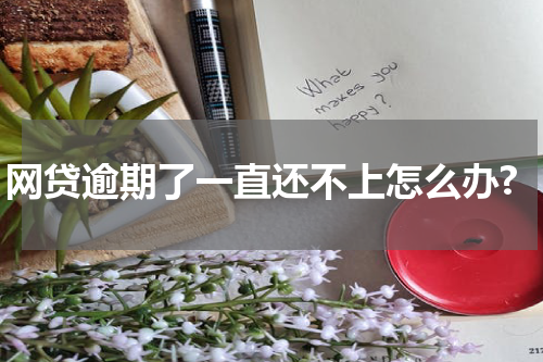 网贷逾期了一直还不上怎么办?