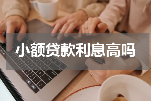 小额贷款利息高吗