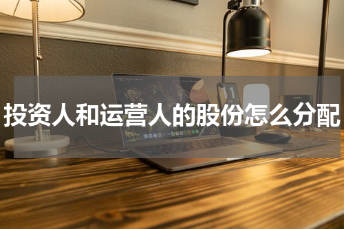 投资人和运营人的股份怎么分配