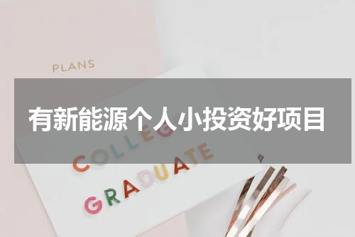 有新能源个人小投资好项目