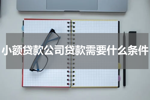 小额贷款公司贷款需要什么条件