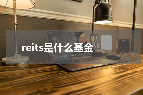 reits是什么基金