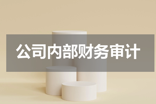 公司内部财务审计