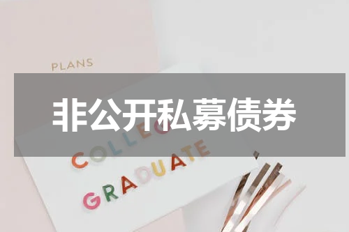 非公开私募债券