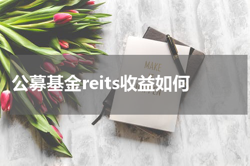 公募基金reits收益如何
