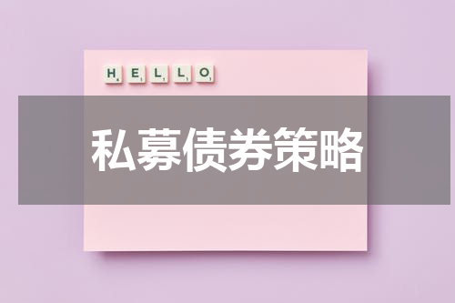 私募债券策略