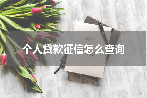 个人贷款征信怎么查询