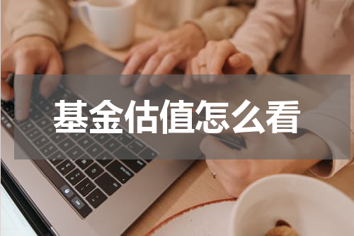 基金估值怎么看