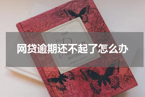 网贷逾期还不起了怎么办