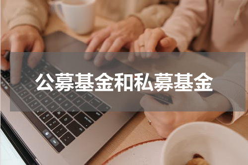 公募基金和私募基金