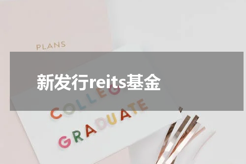 新发行reits基金