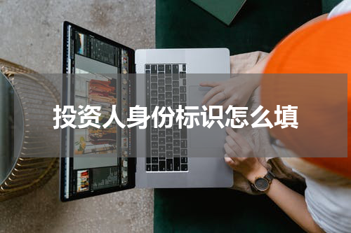 投资人身份标识怎么填