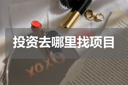 投资去哪里找项目