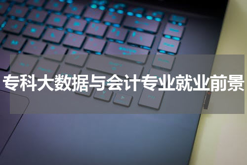 专科大数据与会计专业就业前景