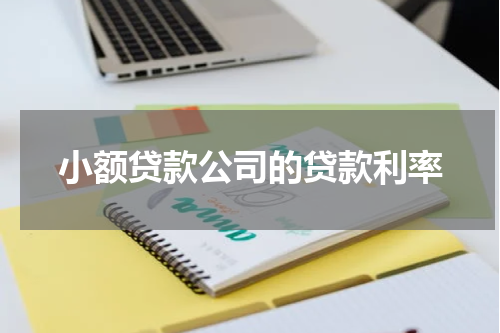 小额贷款公司的贷款利率