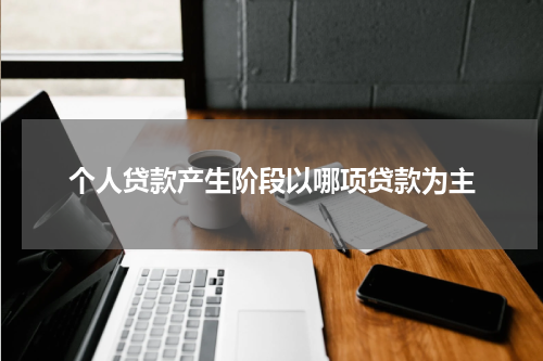 个人贷款产生阶段以哪项贷款为主