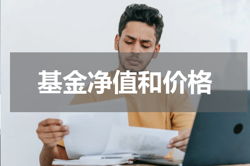基金净值和价格