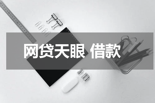 网贷天眼 借款