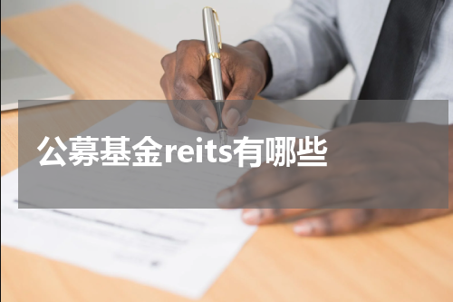 公募基金reits有哪些