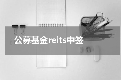 公募基金reits中签