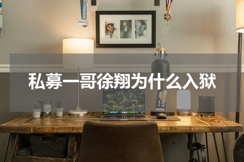 私募一哥徐翔为什么入狱