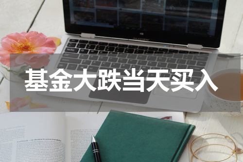 基金大跌当天买入