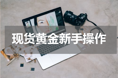 现货黄金新手操作