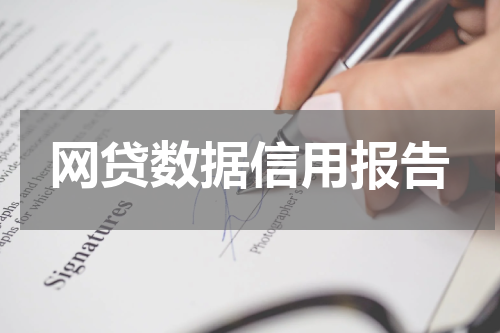 网贷数据信用报告
