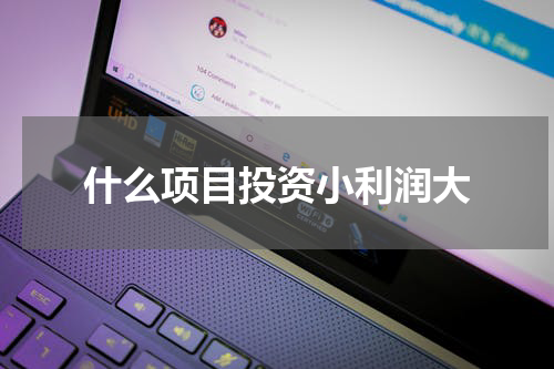 什么项目投资小利润大