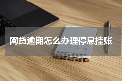 网贷逾期怎么办理停息挂账