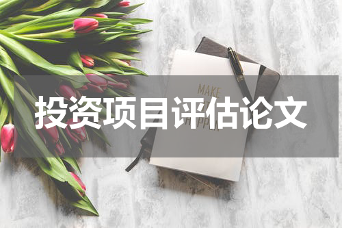 投资项目评估论文