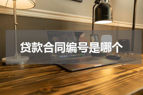 贷款合同编号是哪个