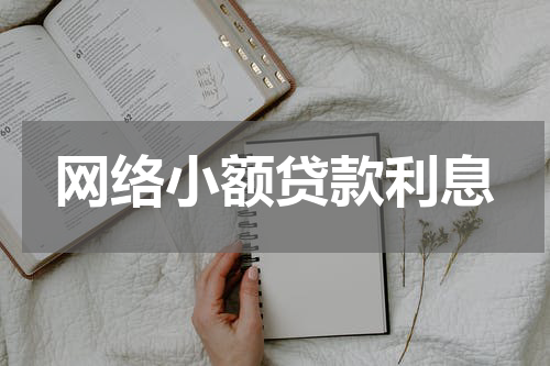网络小额贷款利息