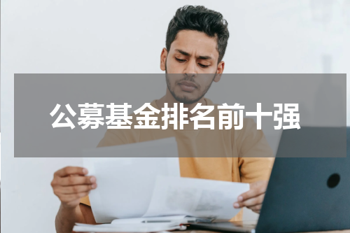 公募基金排名前十强