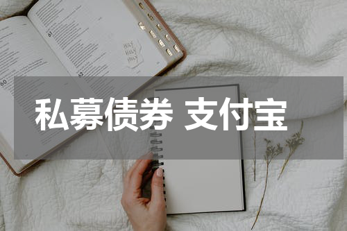 私募债券 支付宝
