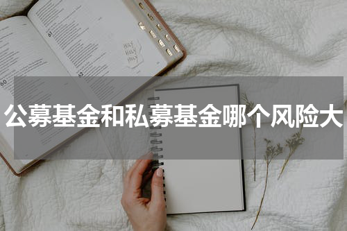 公募基金和私募基金哪个风险大