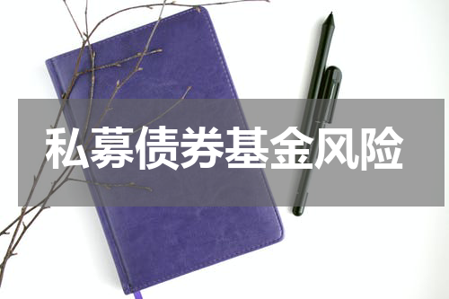 私募债券基金风险