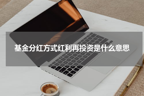 基金分红方式红利再投资是什么意思