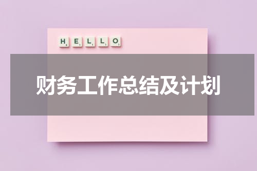 财务工作总结及计划