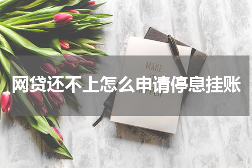 网贷还不上怎么申请停息挂账